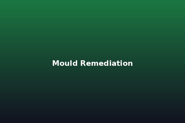 Mould Remediation Guide: Remove Mould Safely