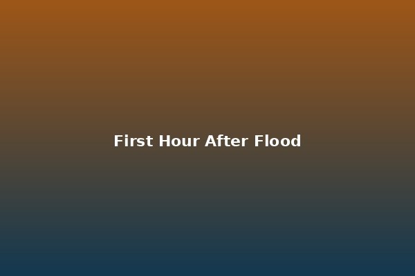 The First Hour After a Flood: Critical Steps