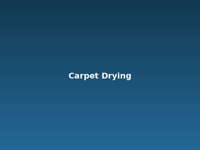 Carpet drying Auckland