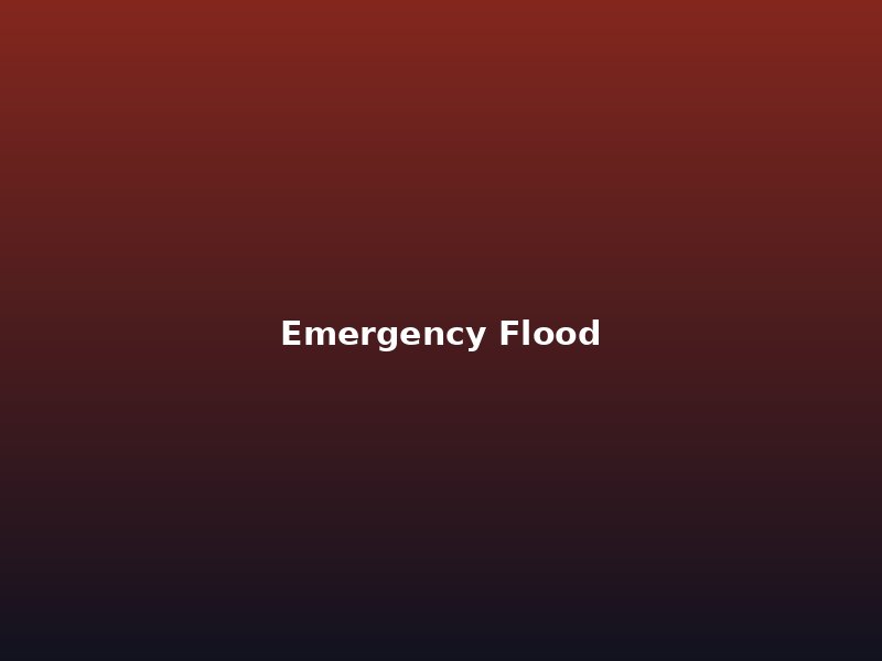 Flood restoration Auckland