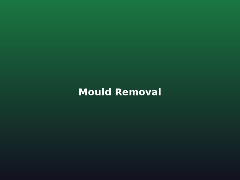 Mould removal Auckland